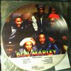 Marley Bob & Wailers -- Buffalo soldier (2)