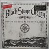 Black Stone Cherry -- Between The Devil & The Deep Blue Sea (2)