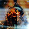 Bedford David -- Stars end (1)