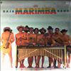 Baja Marimba Band & Wechter Julius -- Naturally (2)