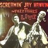 Hawkins Screamin' Jay & Fuzztones -- Live (1)
