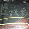 A-HA -- Train of thought (2)