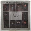 Voices Of East Harlem -- Can You Feel It (1)