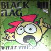 Black Flag -- What the... (2)
