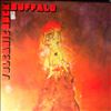 Buffalo -- Volcanic Rock (1)