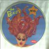 B-52's -- Wig/Summer of love (2)