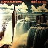 Climax Blues Band (Climax Chicago Blues Band) -- Flying The Flag (1)