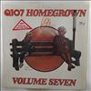 Various Artists -- Q107 Homegrown - Volume 7 (1)