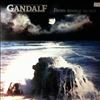 Gandalf -- From Source To Sea (2)
