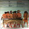 Baja Marimba Band & Wechter Julius -- Naturally (1)