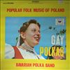 Bavarian Polka band -- Popular folk music of Poland (2)