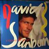 Sanborn David -- A Change Of Heart (1)