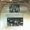 Various Artists -- Texas Punk: Volume 8 - The Briks / The Basement Wall  (3)