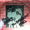 Various Artists -- Texas Punk: Volume 8 - The Briks / The Basement Wall  (1)