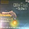 Counting Crows -- Underwater sunshine(or what we did on our summer vacation) (2)