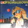 Various Artists -- Q107 Homegrown - Volume 6 (2)