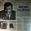 Darin Bobby -- 18 yellow roses (3)