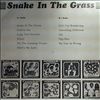 Snake In The Grass -- Hot und sweet mit beat (1)
