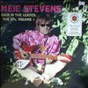 Stevens Meic -- Rain In The Leaves: THe EPs, Volume 1 (1)