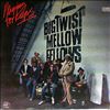 Big Twist & The Mellow Fellows -- Playing for keeps (2)