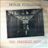 Fitzgerald Patrik -- Paranoid world (2)
