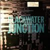 Blackwater Junction (Rod Alexander - Jodo, Green Bullfrog (Vicar), Goodison John - Roger Glover and Guests, Quotations, Big John's Rock 'N' Roll Circus; Frechter Colin) -- Same (2)