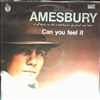 Amesbury Bill -- Can You Feel It (1)