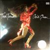 Turner Tina -- Acid Queen (2)