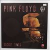 Pink Floyd -- Secret Times (3)