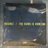 Mogwai -- Hawk is howling (1)