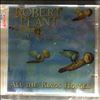 Plant Robert & Strange Sensition -- All The Kings Horses (2)