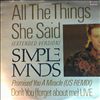 Simple Minds -- All the things she said (2)