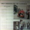 Diddley Bo -- Is Loose (3)