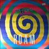 B-52's -- Roam (1)