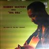 Waters Muddy -- Muddy Waters Sings "Big" Bill Broonzy (2)