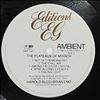 Budd Harold/Eno Brian -- Ambient 2 The Plateaux Of Mirror (2)