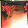 Anthony Ray and his orchestra -- Dream Dancing Today (2)