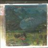 Mandel Harvey -- Shangrenade (2)