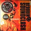 Bedouin Soundclash -- Sounding A Mosaic (2)