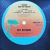 Stevens Cat -- Teaser And The Firecat (3)