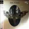 Moths -- Same (1)