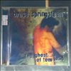 Springsteen Bruce -- Ghost of tom joad (2)