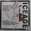 Iceage -- Seek Shelter (1)
