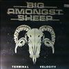 Big Amongst Sheep -- Terminal Velocity (1)