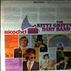 Nitty Gritty Dirt Band -- Ricochet (1)