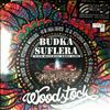 Budka Suflera -- Cien Wielkiej Gory Live - Woodstock Festival Poland (2)