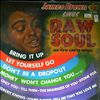 Brown James -- Raw Soul (1)