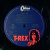 Tyrannosaurus Rex (T. Rex) -- Great Hits (2)