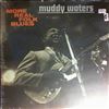 Muddy Waters -- More Real Folk Blues (1)