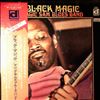 Magic Sam Blues Band -- Black Magic (3)